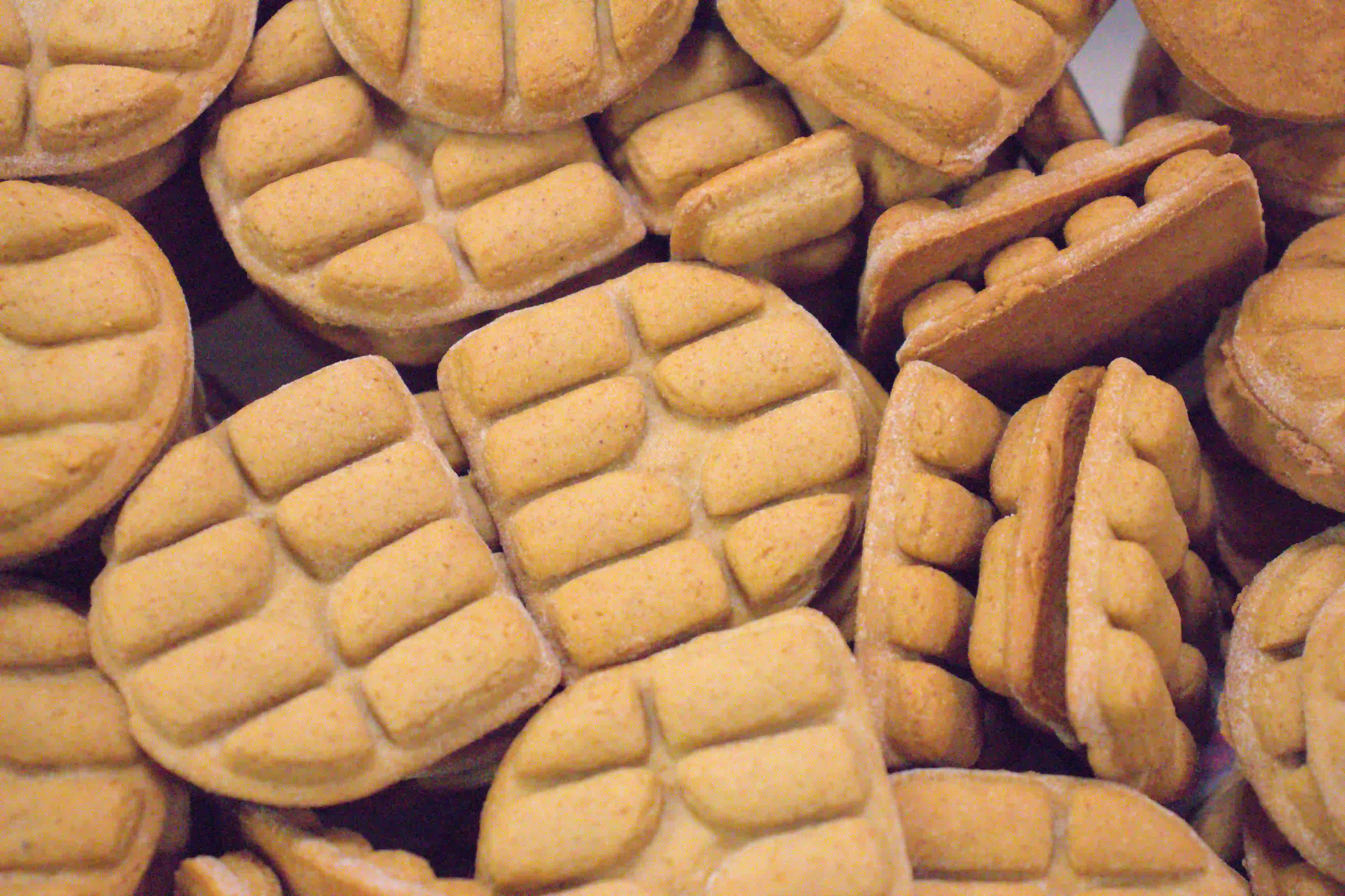 divelit-logo-perníček